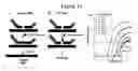 Fig. 19 - Methods for the detection of nucleic acid differences