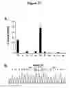 Fig. 26 - Methods for the detection of nucleic acid differences