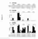 Fig. 31 - Methods for the detection of nucleic acid differences