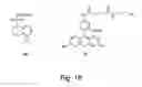 Fig. 10 - Selective posttranslational modification of phage-displayed polypeptides