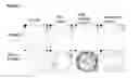 Fig. 03 - Cultispot assay