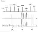 Fig. 02 - Method for amplification of nucleic acids of low complexity