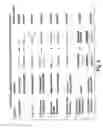 Fig. 05 - Methods and compositions for optical detection of single-stranded polynucleotides