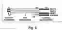Fig. 06 - Methods and compositions for optical detection of single-stranded polynucleotides
