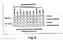 Fig. 07 - Methods and compositions for optical detection of single-stranded polynucleotides
