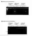 Fig. 02 - Nucleic acid detection assay