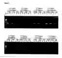 Fig. 05 - Nucleic acid detection assay