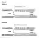 Fig. 10 - Nucleic acid detection assay