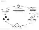 Fig. 02 - Method for the identification of suitable fragmentation sites in a reporter protein