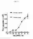 Fig. 05 - Probes for detecting protein nuclear transport and method for detecting and quantifying protein nuclear transport using the same