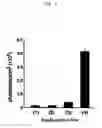 Fig. 08 - Probes for detecting protein nuclear transport and method for detecting and quantifying protein nuclear transport using the same