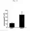 Fig. 11 - Probes for detecting protein nuclear transport and method for detecting and quantifying protein nuclear transport using the same