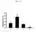 Fig. 13 - Probes for detecting protein nuclear transport and method for detecting and quantifying protein nuclear transport using the same