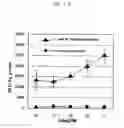 Fig. 20 - Probes for detecting protein nuclear transport and method for detecting and quantifying protein nuclear transport using the same