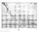 Fig. 02 - Multicellular organisms derived from normal/nondiseased and diseased mammalian tissues