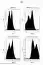 Fig. 02 - High efficiency gene transfer and expression in mammalian cells by a multiple transfection procedure of MAR sequences