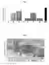 Fig. 06 - High efficiency gene transfer and expression in mammalian cells by a multiple transfection procedure of MAR sequences