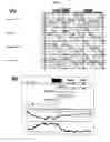 Fig. 08 - High efficiency gene transfer and expression in mammalian cells by a multiple transfection procedure of MAR sequences