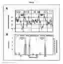 Fig. 12 - High efficiency gene transfer and expression in mammalian cells by a multiple transfection procedure of MAR sequences