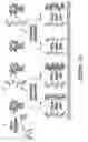 Fig. 02 - System for charge-based detection of nucleic acids