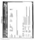 Fig. 29 - Nucleic acid detection assays