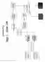 Fig. 330 - Nucleic acid detection assays