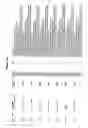 Fig. 340 - Nucleic acid detection assays
