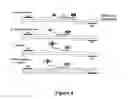 Fig. 05 - Detection of oligonucleotides by dual hybridization