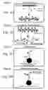 Fig. 04 - Kits for multiplexed nucleic acid analysis by capture of single-stranded DNA produced from double-stranded target fragments