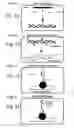 Fig. 06 - Kits for multiplexed nucleic acid analysis by capture of single-stranded DNA produced from double-stranded target fragments