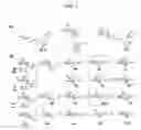 Fig. 04 - Active-site engineering of nucleotidylyltransferases and general enzymatic methods for the synthesis of natural and “unnatural” UDP- and TDP-nucleotide sugars