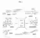 Fig. 06 - Active-site engineering of nucleotidylyltransferases and general enzymatic methods for the synthesis of natural and “unnatural” UDP- and TDP-nucleotide sugars