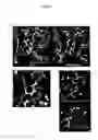 Fig. 11 - Active-site engineering of nucleotidylyltransferases and general enzymatic methods for the synthesis of natural and “unnatural” UDP- and TDP-nucleotide sugars