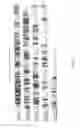 Fig. 18 - Active-site engineering of nucleotidylyltransferases and general enzymatic methods for the synthesis of natural and “unnatural” UDP- and TDP-nucleotide sugars