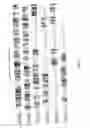 Fig. 19 - Active-site engineering of nucleotidylyltransferases and general enzymatic methods for the synthesis of natural and “unnatural” UDP- and TDP-nucleotide sugars