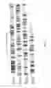 Fig. 20 - Active-site engineering of nucleotidylyltransferases and general enzymatic methods for the synthesis of natural and “unnatural” UDP- and TDP-nucleotide sugars