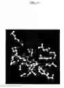Fig. 31 - Active-site engineering of nucleotidylyltransferases and general enzymatic methods for the synthesis of natural and “unnatural” UDP- and TDP-nucleotide sugars