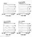 Fig. 09 - Compositions and Methods for Synthesizing Nucleic Acids