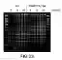 Fig. 25 - Compositions and Methods for Synthesizing Nucleic Acids