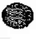 Fig. 901 - Compositions and Methods for Synthesizing Nucleic Acids