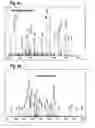 Fig. 06 - Methods and marker combinations for screening for predisposition to lung cancer