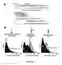 Fig. 02 - Promoter engineering and genetic control