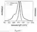 Fig. 02 - Modified carbocyanine dyes and their conjugates