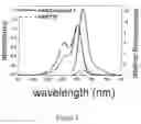 Fig. 03 - Modified carbocyanine dyes and their conjugates