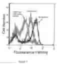 Fig. 06 - Modified carbocyanine dyes and their conjugates