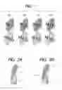 Fig. 02 - Gold-binding protein and use thereof