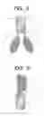 Fig. 04 - Gold-binding protein and use thereof