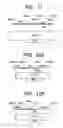 Fig. 07 - Gold-binding protein and use thereof