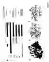 Fig. 02 - Novel druggable regions in set domain proteins, and methods of using the same