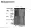 Fig. 28 - ME-5, ME-2, and EPP2: human protein antigens reactive with autoantibodies present in the serum of women suffering from endometriosis